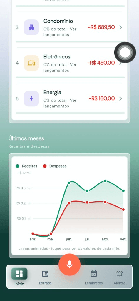 Ranking de despesas do mês e gráfico de receitas e despesas